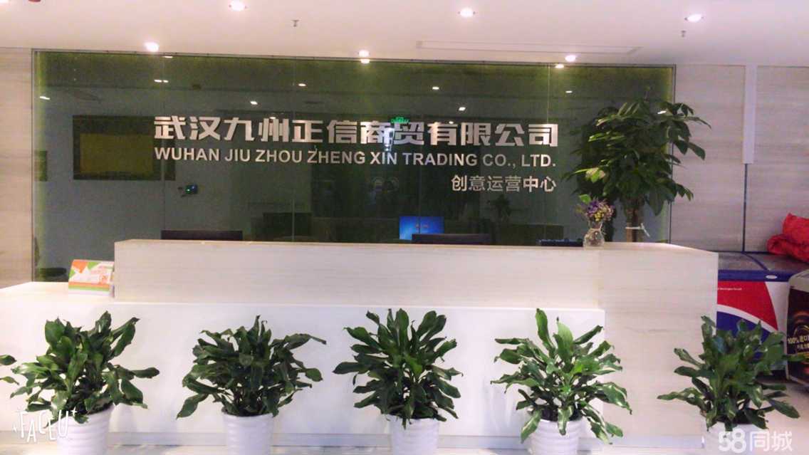 武汉车贷网